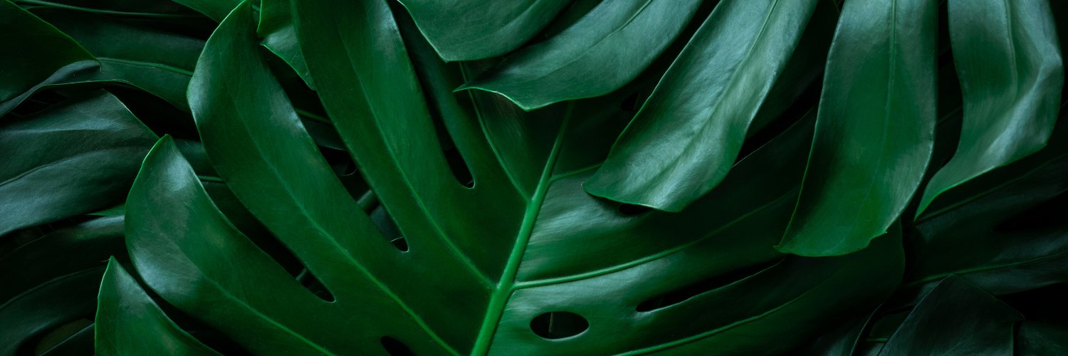 Kelly Edwards banner