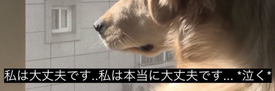 盲トル banner