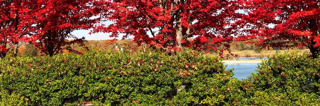 Kristenleah83's profile banner image