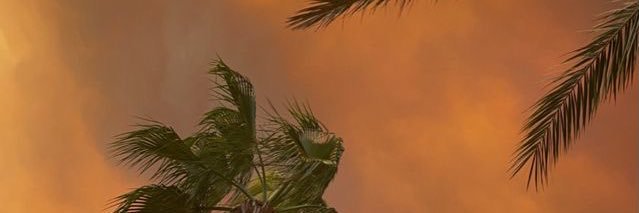 annnso3's profile banner image