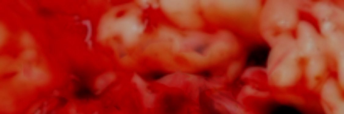 wortzilla's profile banner image