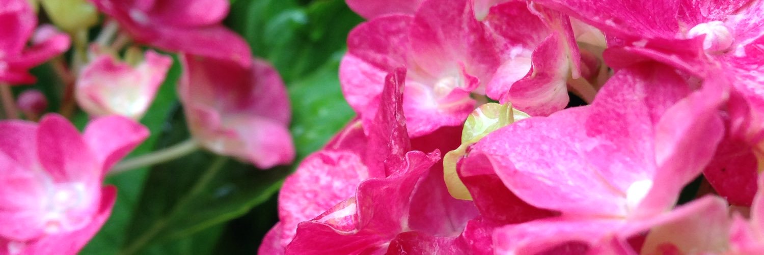 FlannyMath's profile banner image