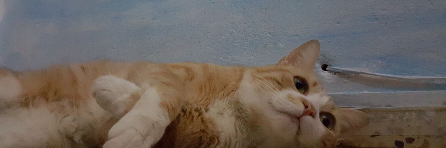 Andres_ML10's profile banner image