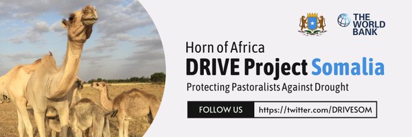 DRIVESOM Profile Banner