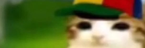 mrnbrnrdscc's profile banner image