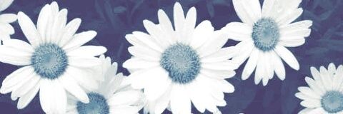 xxdontlookbackx's profile banner image