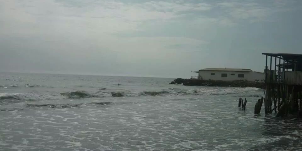 Renatto Celis banner