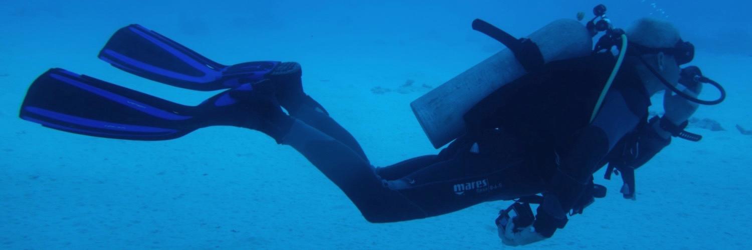 learn2divetoday's profile banner image