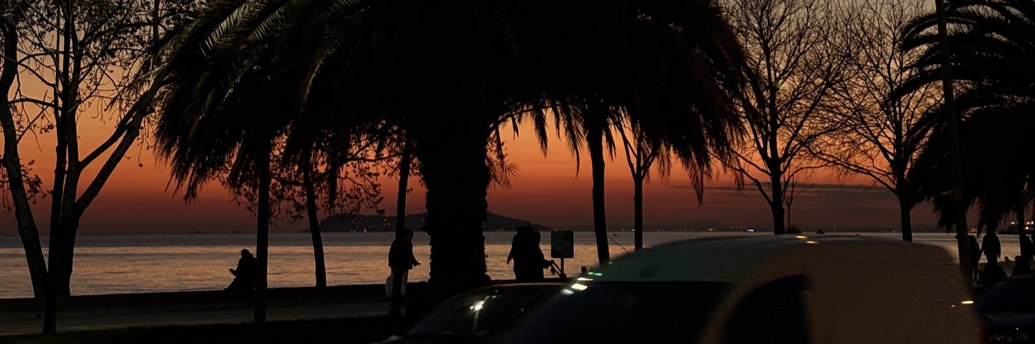 N3a banner