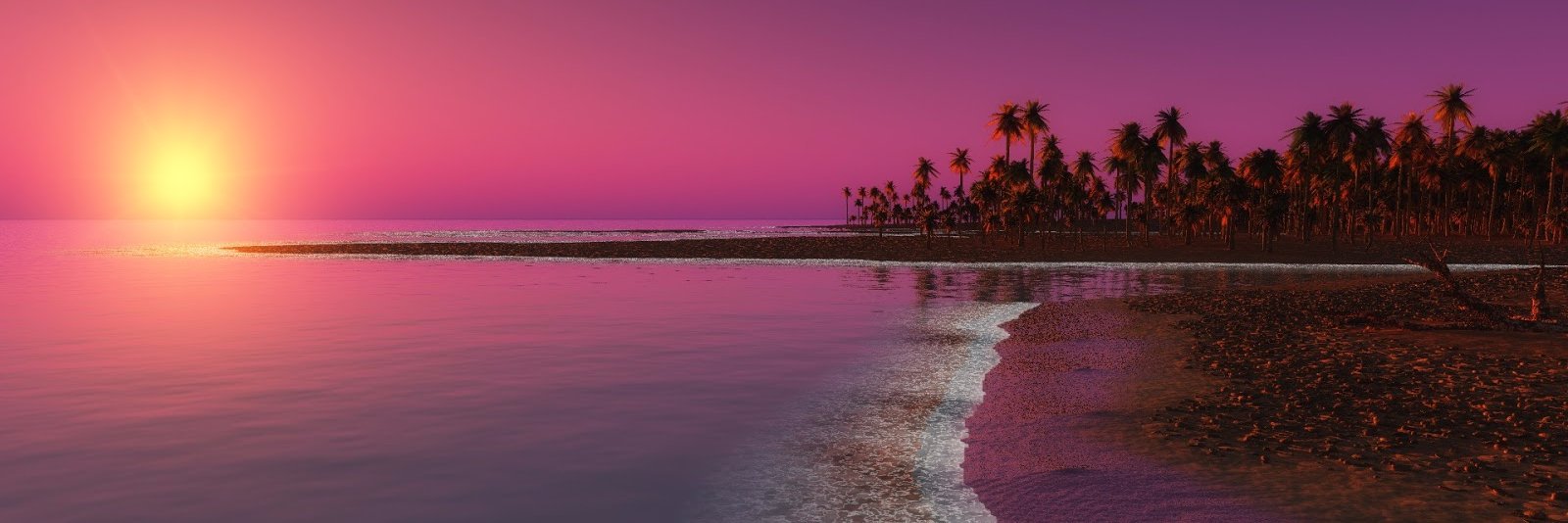 tunazorto's profile banner image