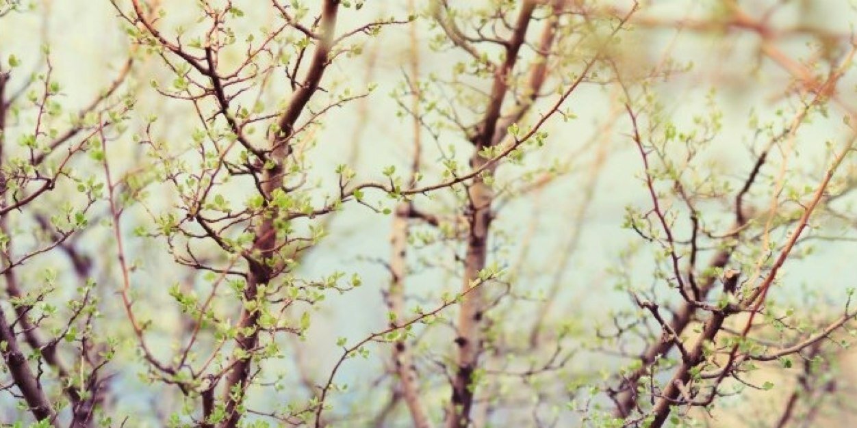 maddikthompson's profile banner image