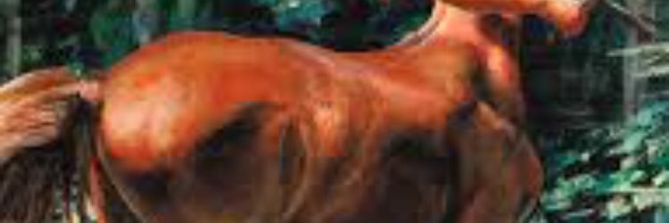 pleasewaitttt's profile banner image