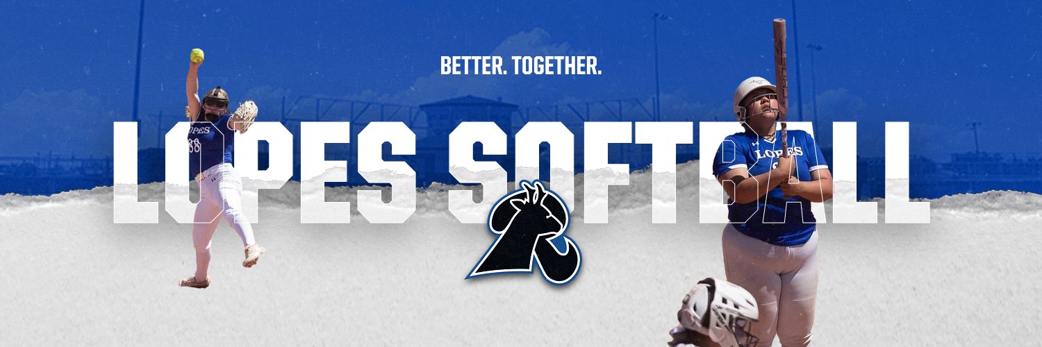 Lamar CC Softball banner