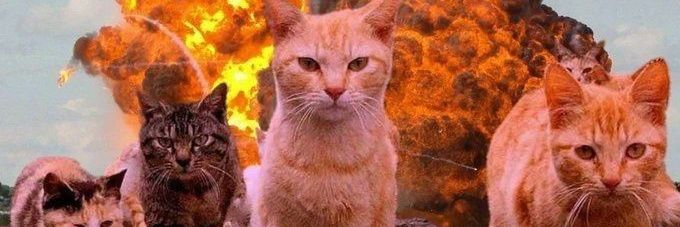 ipekbayib's profile banner image