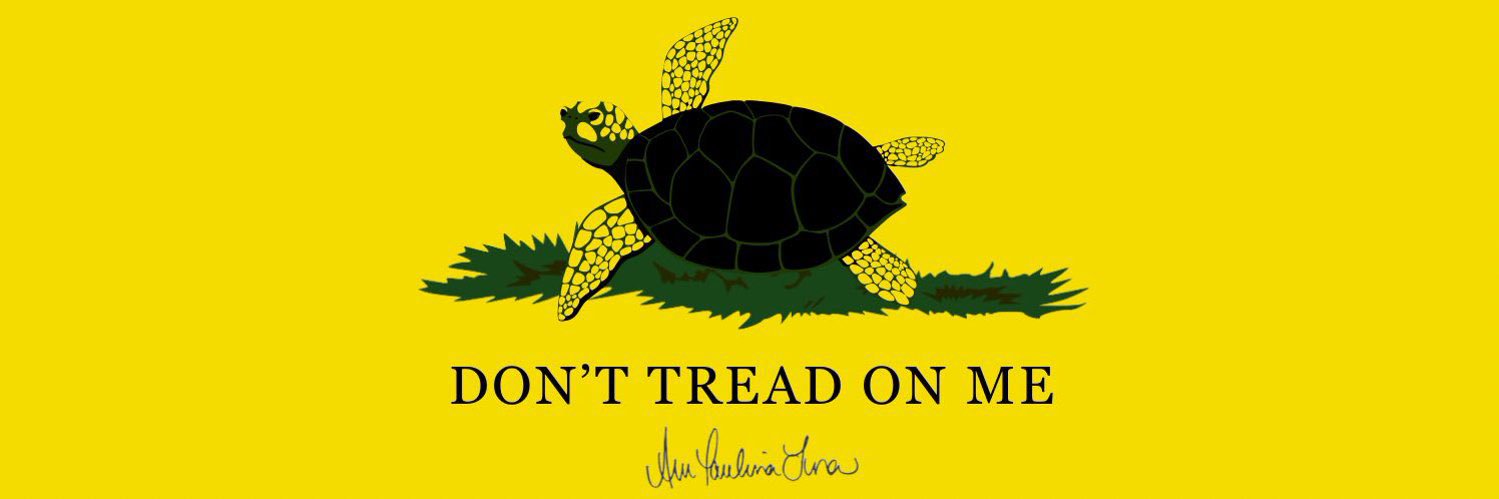 Rep. Ana Paulina Luna Press Release (Parody) banner