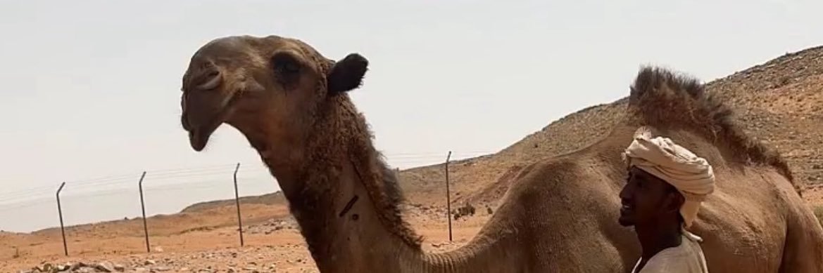 روق #بطل_شلفا_الوضح banner