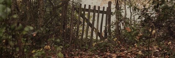 _310117_'s profile banner image