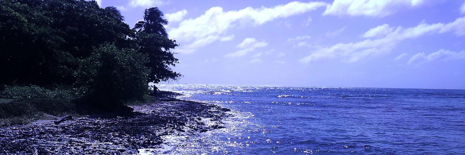 vickymarinelli1's profile banner image