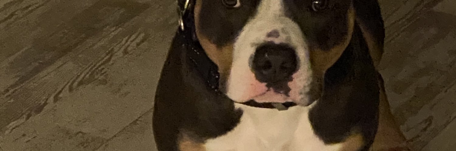 Craig banner
