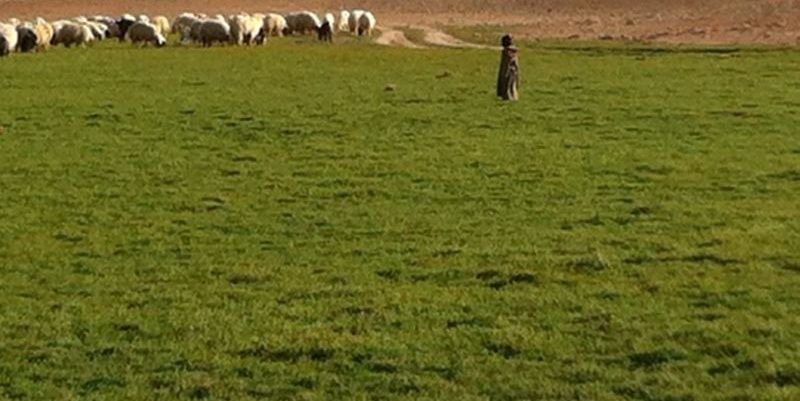 FadhelFreeh's profile banner image