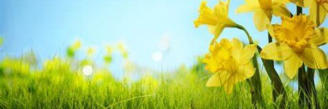 Matthew Sun 🇺🇸 banner