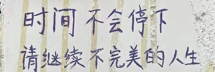 LSSZAI's profile banner image