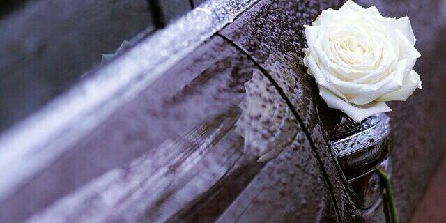 lola_85_'s profile banner image