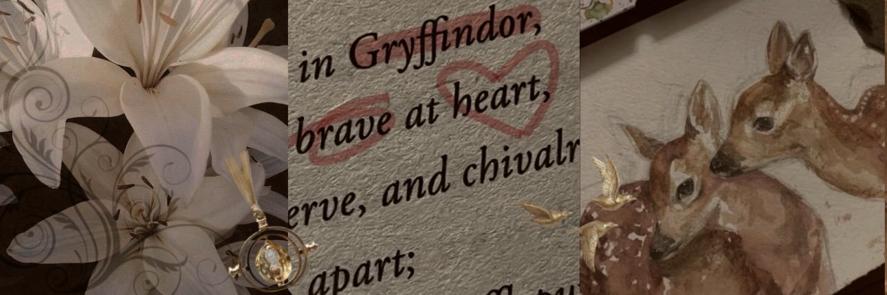 aria (lily evans’ lawyer) banner