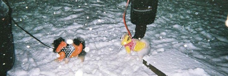 fruit of love banner