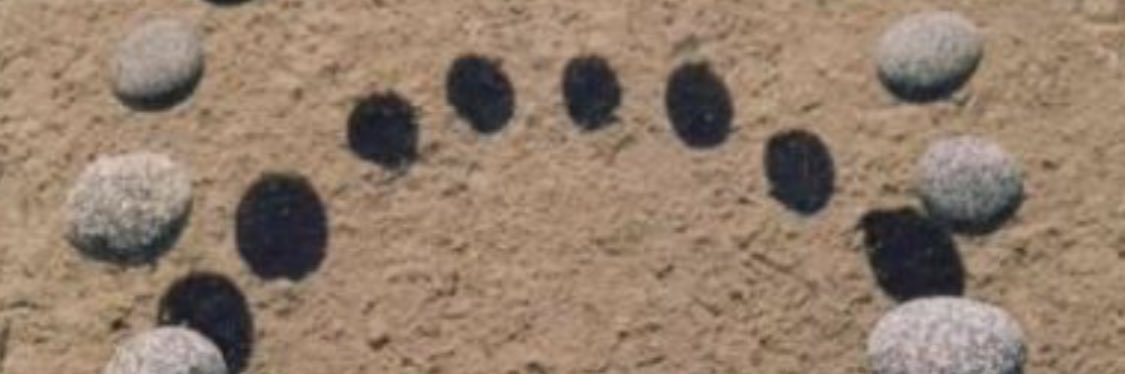 mrrfskrrt's profile banner image