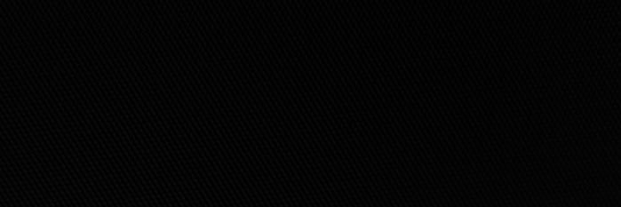 Lisa was here. banner