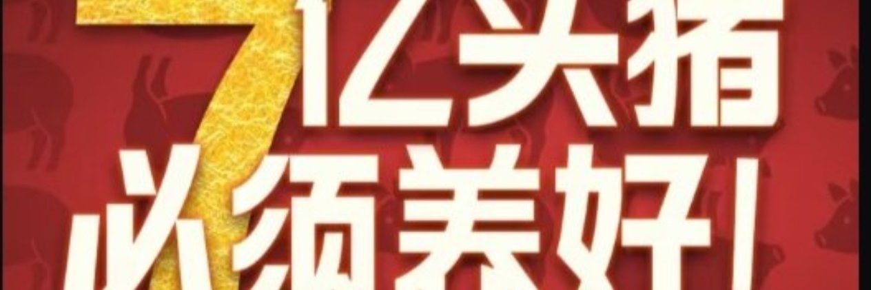 愛國 張維忠🇨🇳 banner