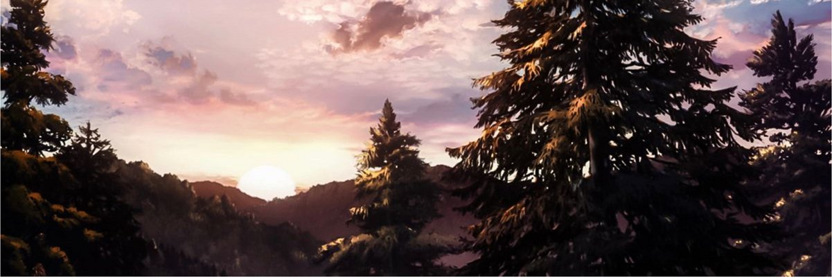cc4888's profile banner image
