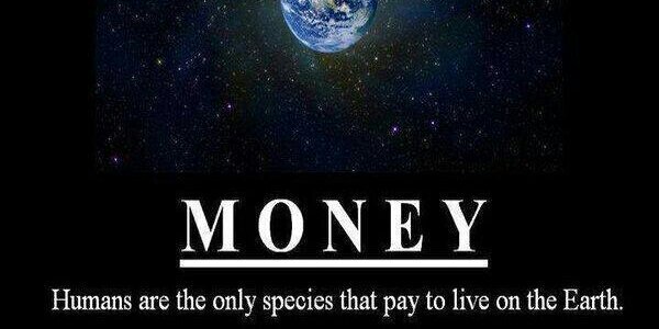Truth_and_Peace's profile banner image