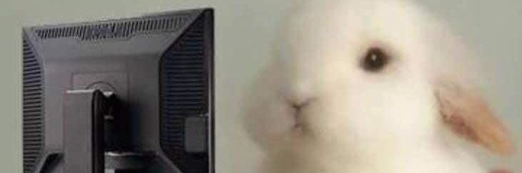 jazdch_'s profile banner image