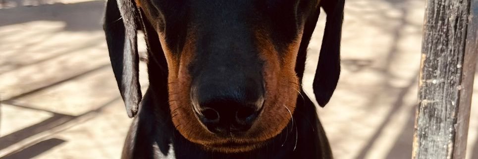NanncyRichard's profile banner image