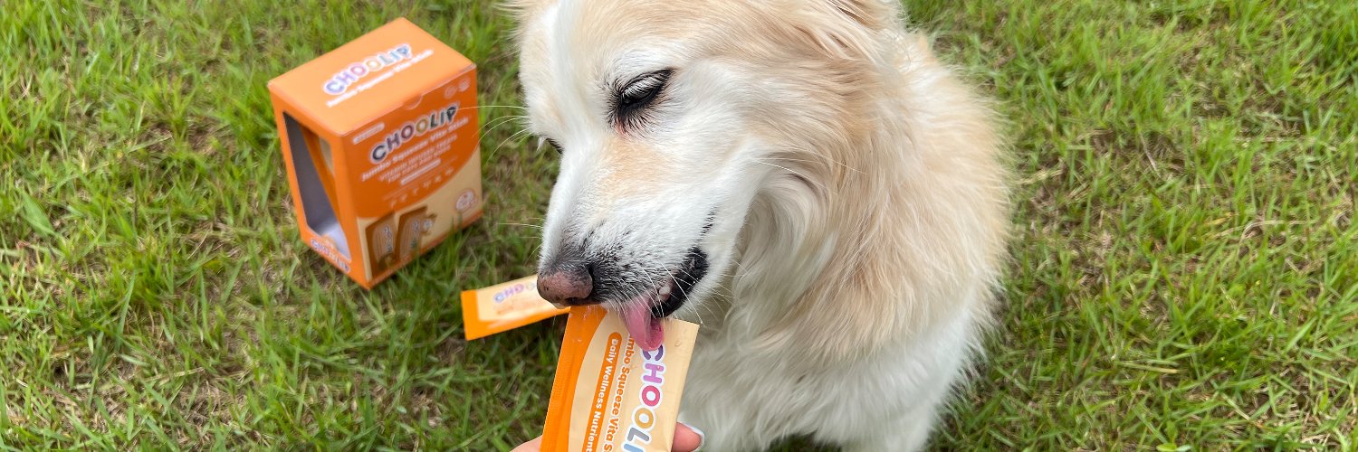 Choolipets's profile banner image