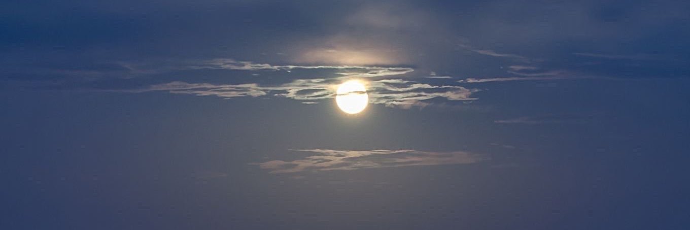 د.مريم علي القرني☤ banner