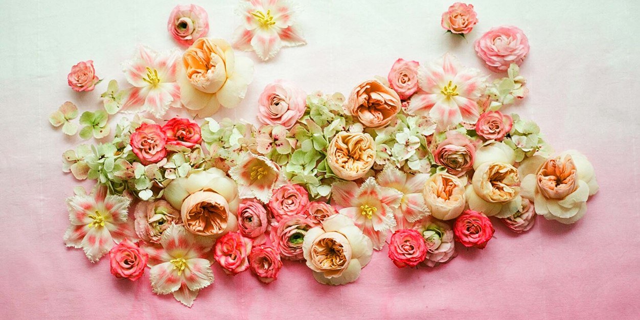 ＊Mayumi＊気ままに浮上💐 banner