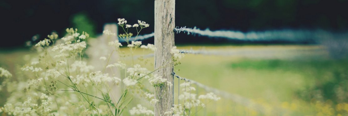 d_shifflett's profile banner image