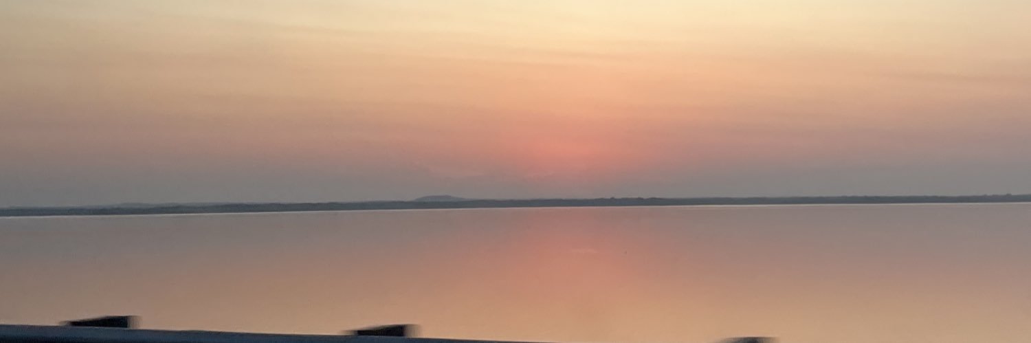 abrilvidaless's profile banner image