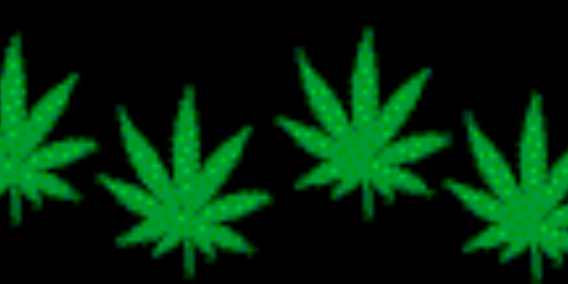 _tiny_toker's profile banner image