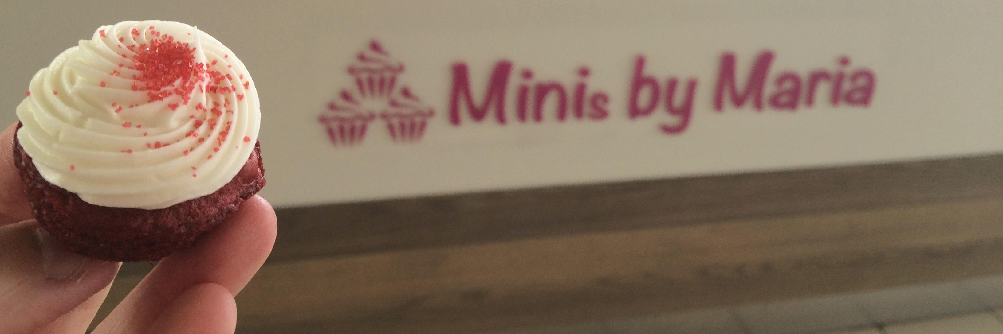 MinisbyMaria's profile banner image