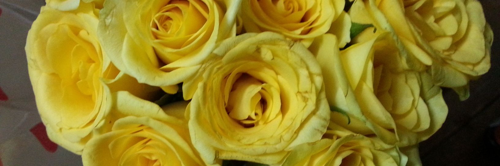 deepabhalerao's profile banner image