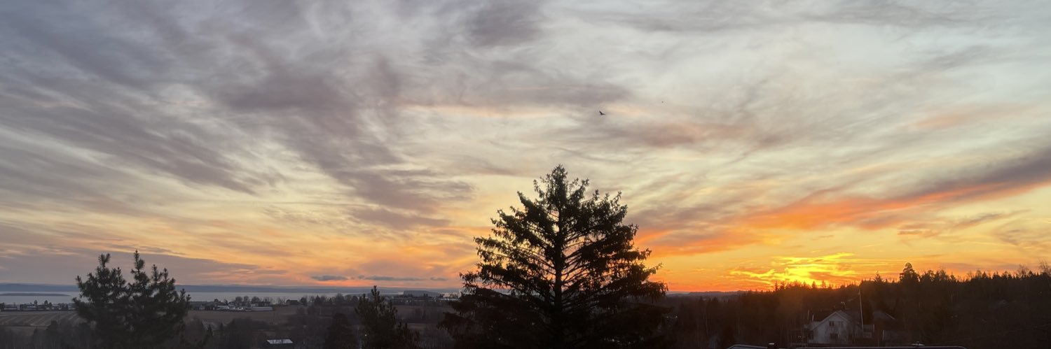 Color_your_sky's profile banner image