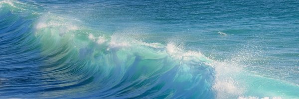 EUVIP_project Profile Banner