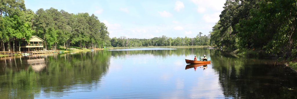 PineCoveWoods's profile banner image