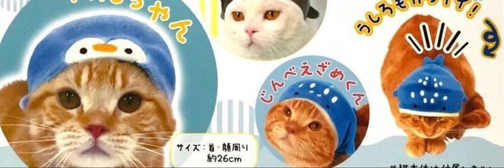 glaze_andromeda's profile banner image