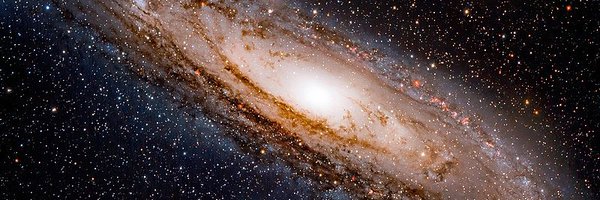 tle88841 Profile Banner