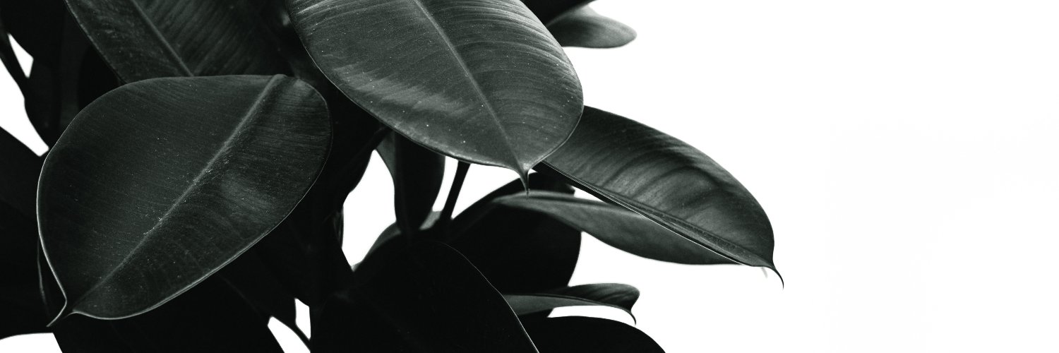tugbatheyalan's profile banner image